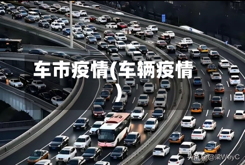车市疫情(车辆疫情)-第2张图片
