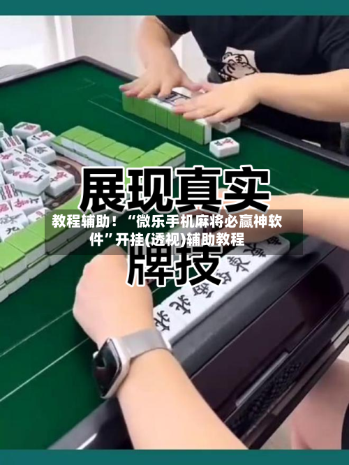 教程辅助！“微乐手机麻将必赢神软件”开挂(透视)辅助教程-第3张图片