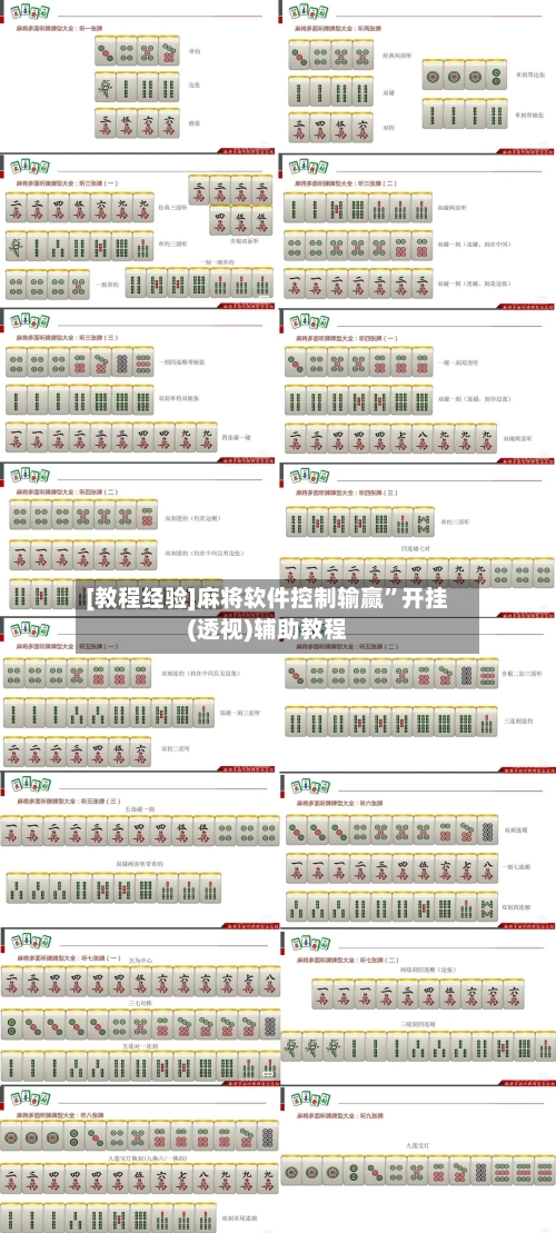 [教程经验]麻将软件控制输赢”开挂(透视)辅助教程-第2张图片