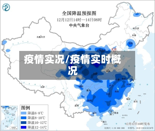 疫情实况/疫情实时概况
