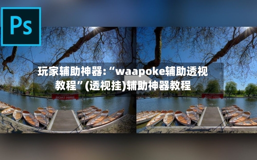 玩家辅助神器:“waapoke辅助透视教程”(透视挂)辅助神器教程-第3张图片