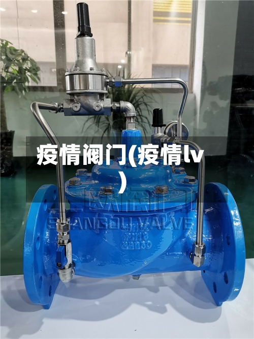 疫情阀门(疫情lv)-第2张图片