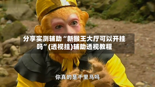 分享实测辅助“新猴王大厅可以开挂吗”(透视挂)辅助透视教程