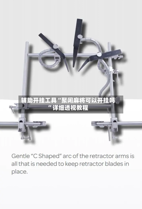 辅助开挂工具“聚闲麻将可以开挂吗”详细透视教程-第2张图片