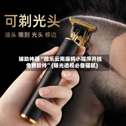 辅助神器“微乐云南麻将小程序开挂免费软件”(曝光透视必备猫腻)