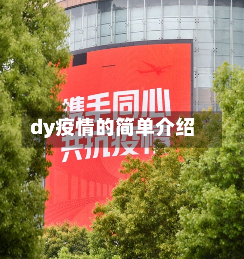 dy疫情的简单介绍