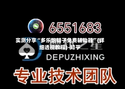 实测分享“多乐跑胡子免费辅助器”(详细透视教程)-知乎-第2张图片