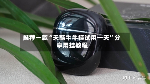 推荐一款“天酷牛牛挂试用一天”分享用挂教程-第3张图片