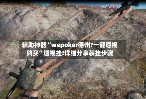 辅助神器“wepoker德州?一键透视购买”透视挂!详细分享装挂步骤