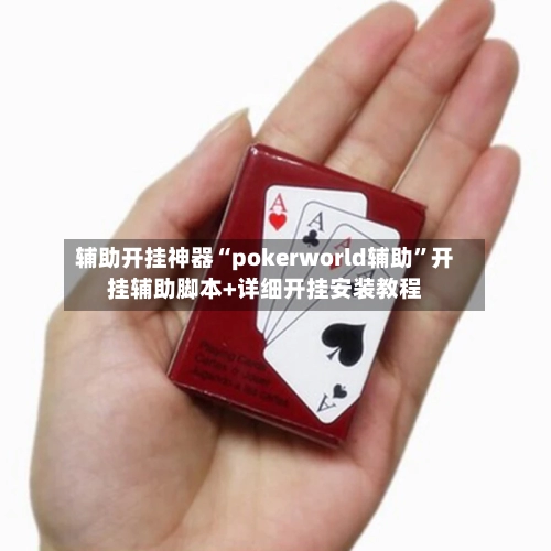 辅助开挂神器“pokerworld辅助”开挂辅助脚本+详细开挂安装教程-第2张图片