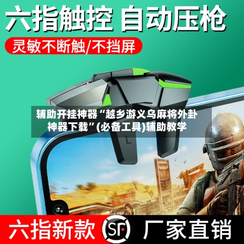 辅助开挂神器“越乡游义乌麻将外卦神器下载”(必备工具)辅助教学-第2张图片