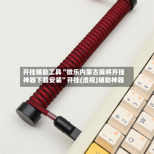 开挂辅助工具“微乐内蒙古麻将开挂神器下载安装	”开挂(透视)辅助神器-第3张图片