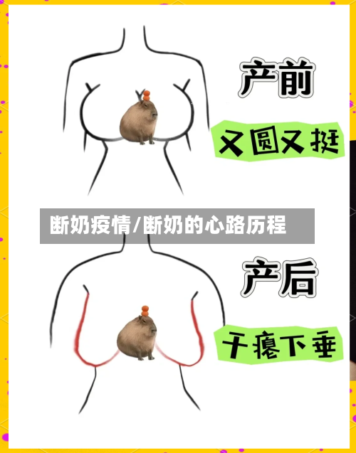 断奶疫情/断奶的心路历程-第2张图片