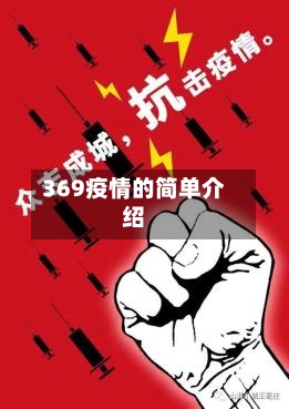 369疫情的简单介绍