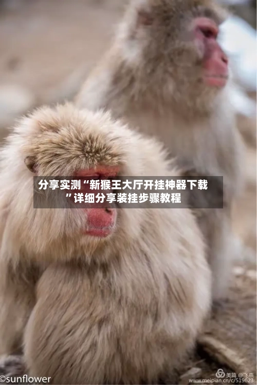 分享实测“新猴王大厅开挂神器下载	”详细分享装挂步骤教程-第2张图片