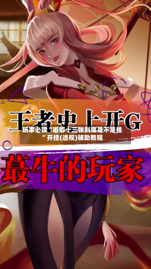 玩家必读“嘟嘟十三张到底是不是挂”开挂(透视)辅助教程-第3张图片
