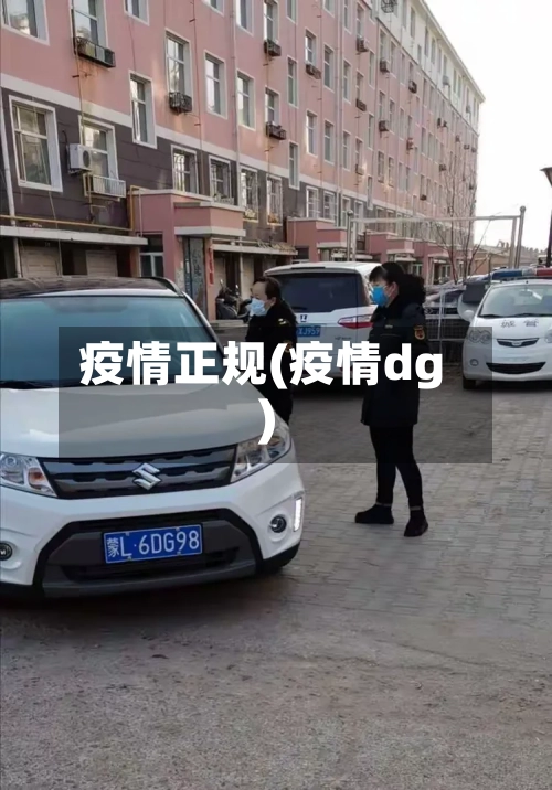 疫情正规(疫情dg)-第3张图片