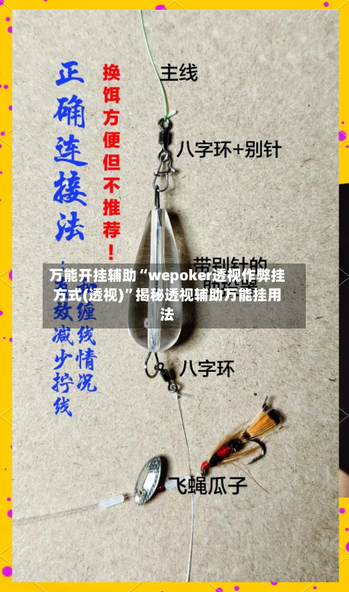 万能开挂辅助“wepoker透视作弊挂方式(透视)	”揭秘透视辅助万能挂用法-第2张图片