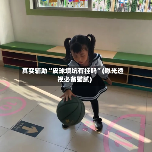 真实辅助“皮球填坑有挂吗”(曝光透视必备猫腻)-第2张图片