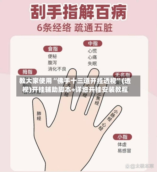 教大家使用“佛手十三道开挂透视	”(透视)开挂辅助脚本+详细开挂安装教程-第2张图片