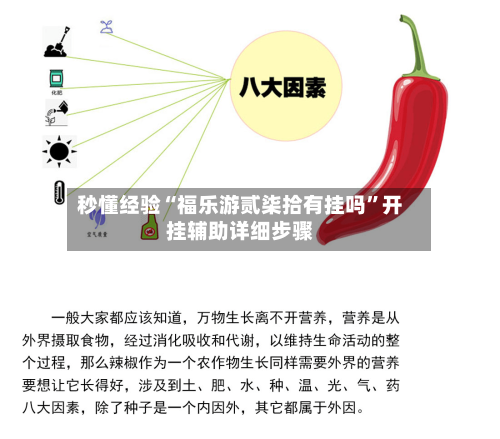 秒懂经验“福乐游贰柒拾有挂吗”开挂辅助详细步骤-第2张图片