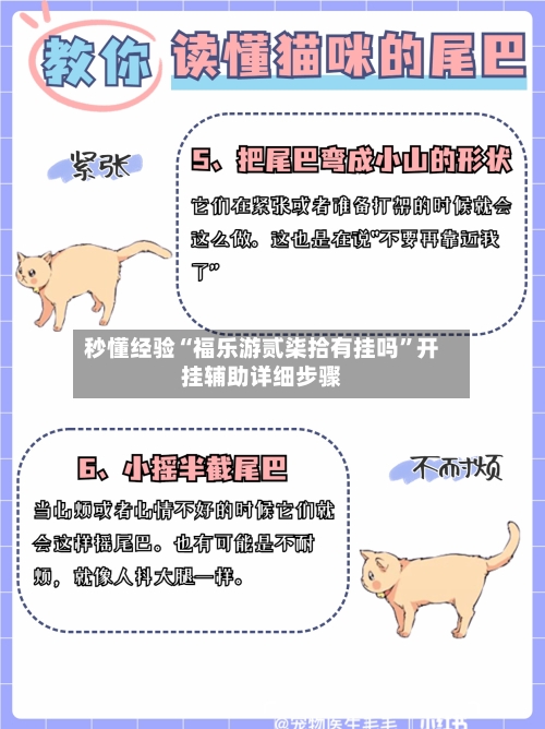 秒懂经验“福乐游贰柒拾有挂吗”开挂辅助详细步骤-第3张图片