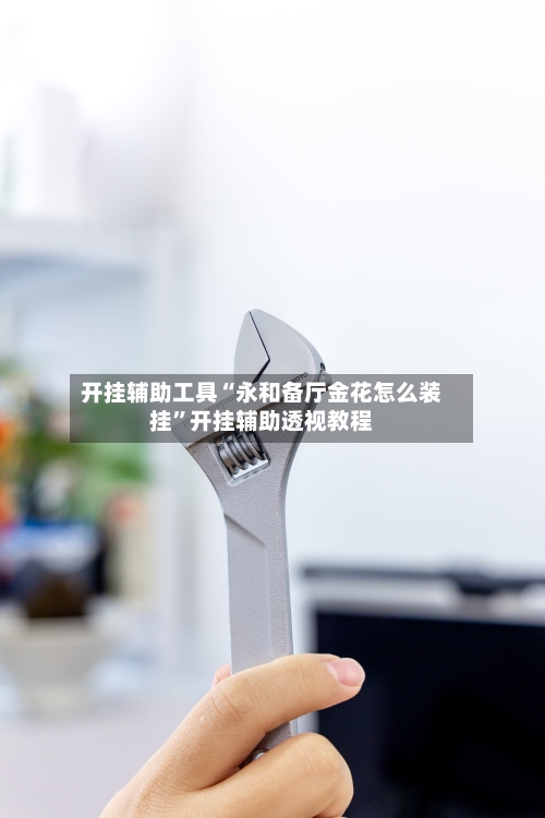 开挂辅助工具“永和备厅金花怎么装挂”开挂辅助透视教程-第3张图片
