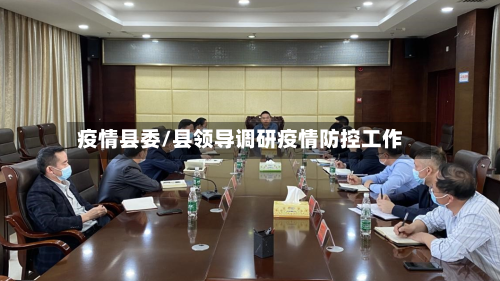 疫情县委/县领导调研疫情防控工作