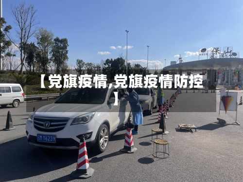 【党旗疫情,党旗疫情防控】