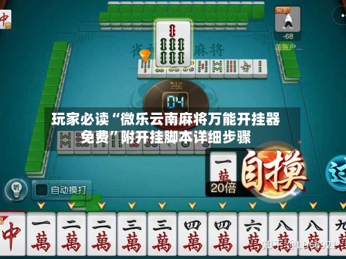 玩家必读“微乐云南麻将万能开挂器免费”附开挂脚本详细步骤-第2张图片
