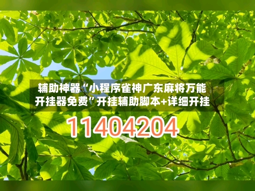 辅助神器“小程序雀神广东麻将万能开挂器免费”开挂辅助脚本+详细开挂-第2张图片