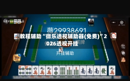 教程辅助“微乐透视辅助器(免费)”2026透视开挂-第3张图片