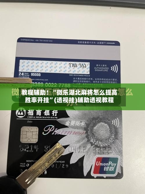 教程辅助！“微乐湖北麻将怎么提高胜率开挂	”(透视挂)辅助透视教程-第2张图片