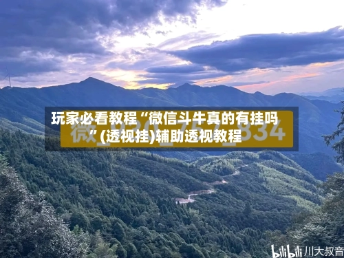 玩家必看教程“微信斗牛真的有挂吗”(透视挂)辅助透视教程-第2张图片