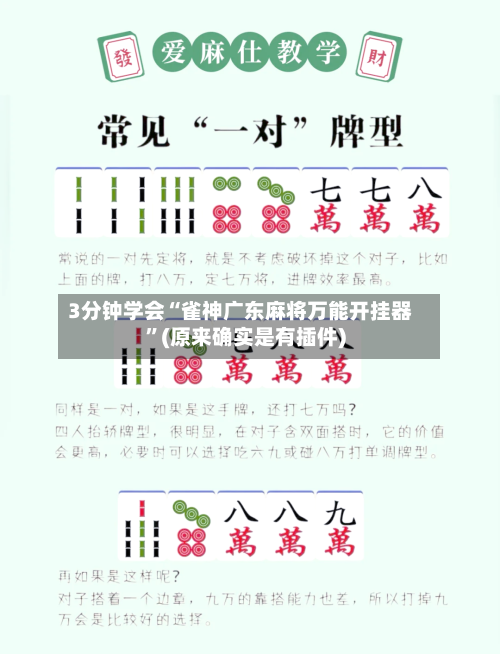 3分钟学会“雀神广东麻将万能开挂器”(原来确实是有插件)