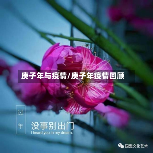 庚子年与疫情/庚子年疫情回顾-第2张图片