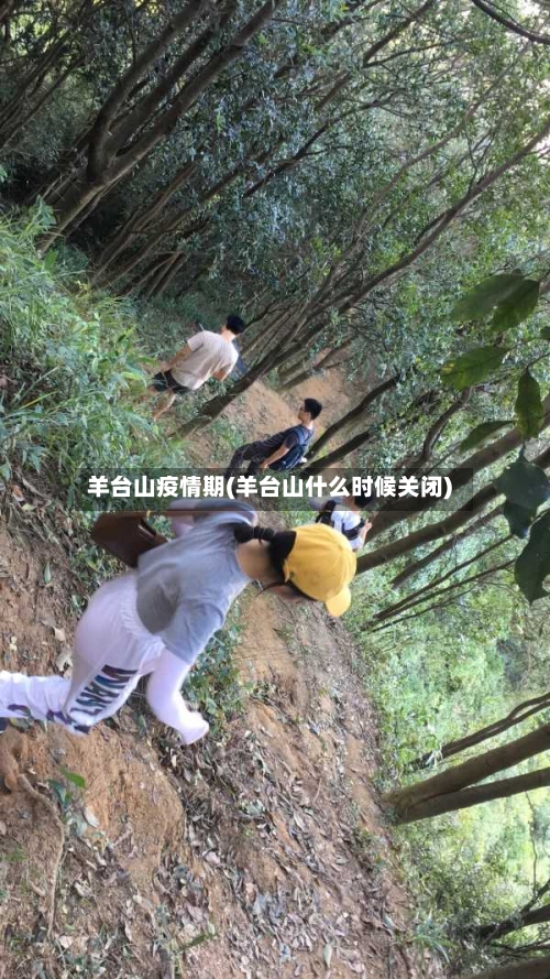 羊台山疫情期(羊台山什么时候关闭)