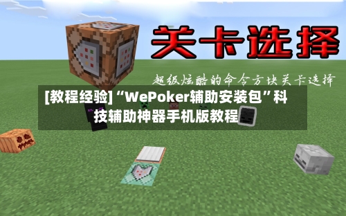[教程经验]“WePoker辅助安装包	”科技辅助神器手机版教程-第2张图片