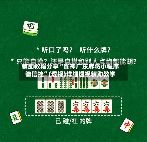 辅助教程分享“雀神广东麻将小程序微信挂”(透视)详细透视辅助教学-第2张图片