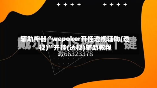 辅助神器“wepoker开挂透视辅助(透视)”开挂(透视)辅助教程-第3张图片