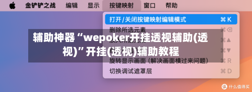 辅助神器“wepoker开挂透视辅助(透视)”开挂(透视)辅助教程-第2张图片