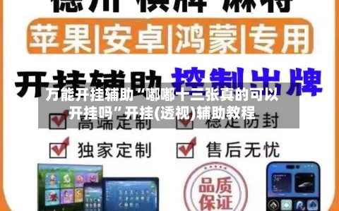 万能开挂辅助“嘟嘟十三张真的可以开挂吗”开挂(透视)辅助教程-第2张图片