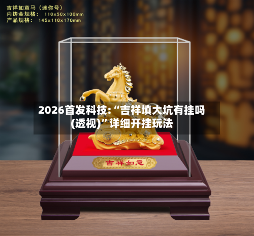 2026首发科技:“吉祥填大坑有挂吗(透视)”详细开挂玩法-第3张图片