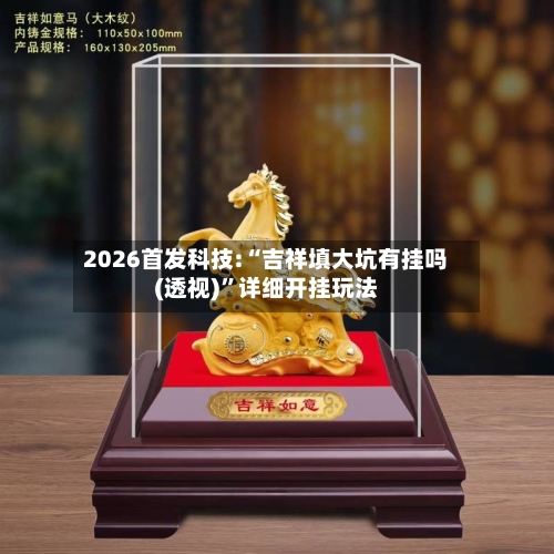 2026首发科技:“吉祥填大坑有挂吗(透视)”详细开挂玩法-第2张图片