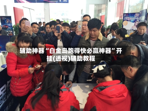 辅助神器“白金岛跑得快必赢神器”开挂(透视)辅助教程-第2张图片