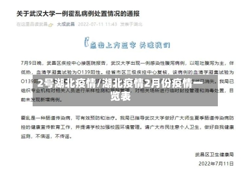 2号湖北疫情/湖北疫情2月份疫情一览表-第2张图片