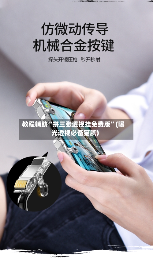 教程辅助“拼三张透视挂免费版”(曝光透视必备猫腻)