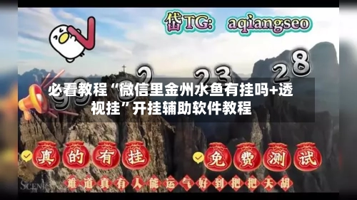 必看教程“微信里金州水鱼有挂吗+透视挂”开挂辅助软件教程-第3张图片