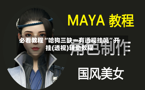 必看教程“哈狗三缺一有透视挂吗	”开挂(透视)辅助教程-第2张图片