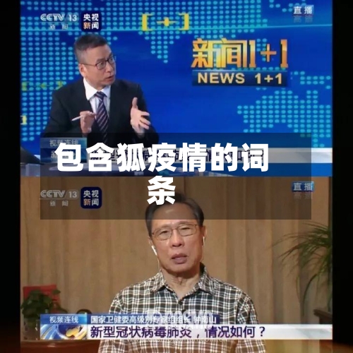 包含狐疫情的词条